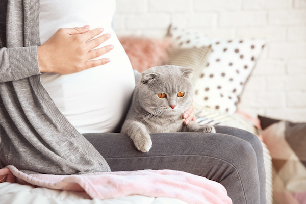 Toxoplasmosi e Gravidanza